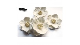 Baltos spalvos elegantiškos gėlės su perliniais rutuliukais