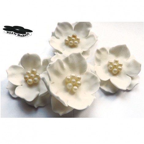 Baltos spalvos elegantiškos gėlės su perliniais rutuliukais