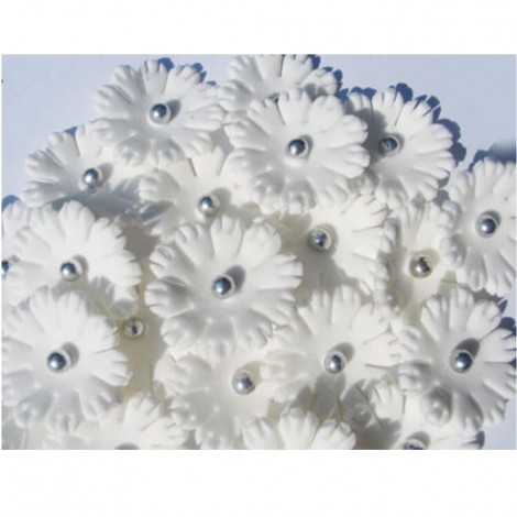 Baltos spalvos gėlytės ''Sweet William'' su sidabriniais viduriukais