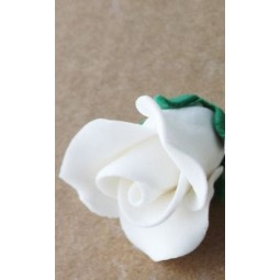 Baltos spalvos maža rožė