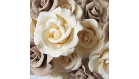 Dramblio kaulo spalvos rožė su vielute
