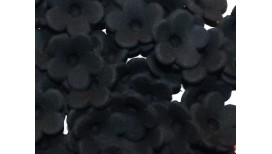 Juodos spalvos gėlės