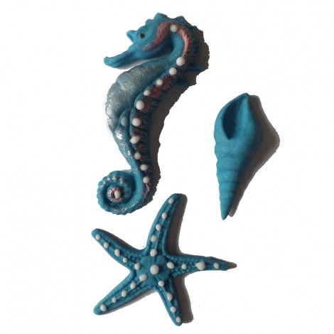 Mėlynos spalvos jūros kriauklė, arkliukas ir žvaigždė