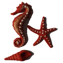 Raudonos spalvos jūros kriauklė, arkliukas ir žvaigždė
