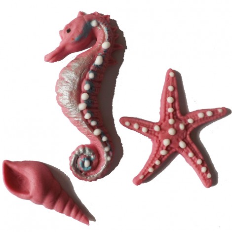 Rožinės spalvos jūros kriauklė, arkliukas ir žvaigždė