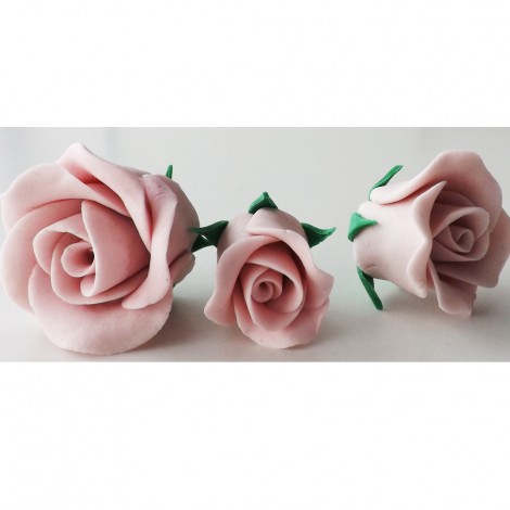Rožinės spalvos vidutinė rožė