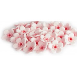 Rožinės spalvos vyšnios žiedai (sakura)
