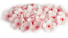 Rožinės spalvos vyšnios žiedai (sakura)