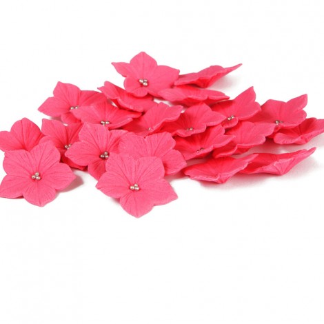 Ryškiai rožinės spalvos petunijos