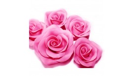 Ryškiai rožinės spalvos rožė
