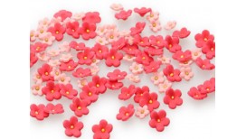 Ryškiai rožinės, šviesiai rožinės gėlytės su spalvotais viduriukais