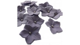 Violetinės petunijos
