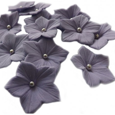Violetinės petunijos