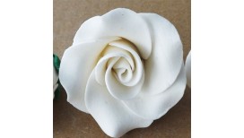 Baltos spalvos didelė rožė
