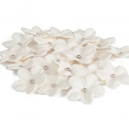 Baltos spalvos gėlės su sidabriniais viduriukais