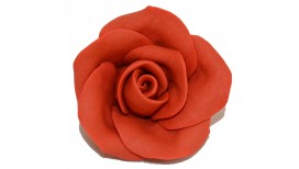 Raudonos spalvos didelė rožė