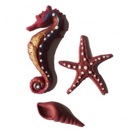 Bordo spalvos jūros kriauklė, arkliukas ir žvaigždė