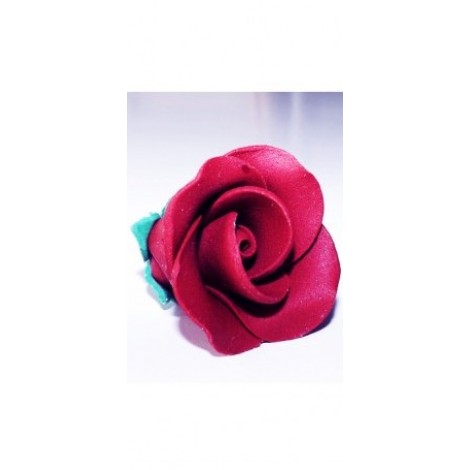 Bordo spalvos vidutinė rožė